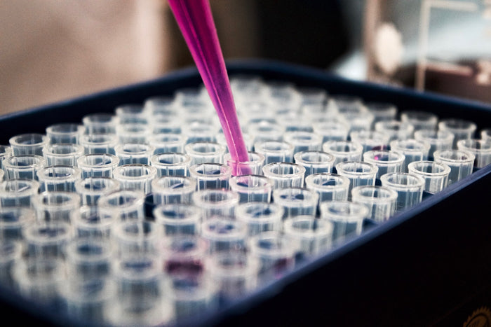 Why Am I Always Tired? 5 Biological Causes